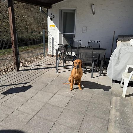 Ferienhaus Stausee Bitburg Biersdorf エクステリア 写真