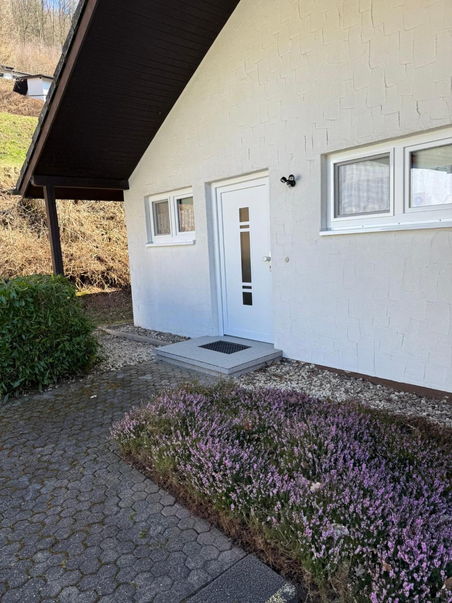 Ferienhaus Stausee Bitburg Biersdorf エクステリア 写真