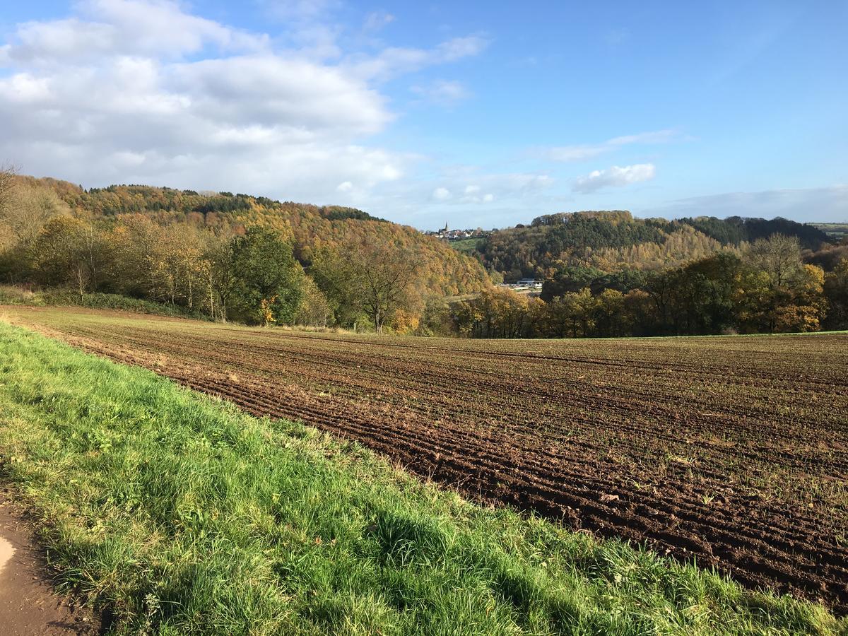 Ferienhaus Stausee Bitburg Biersdorf エクステリア 写真
